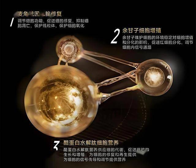 蓝莓外汇平台开户今天的外汇行情波动，你准备好应对了吗？
